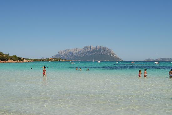 Domus Regia Otel Olbia Dış mekan fotoğraf