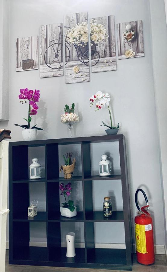 Domus Regia Otel Olbia Dış mekan fotoğraf